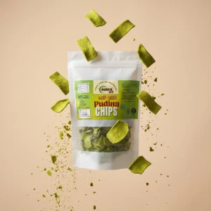 pudina chips